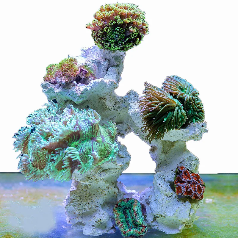 Aquarium Marine Rock - Zeeaquarium Stenen Rif Koraaltank Dode Steen