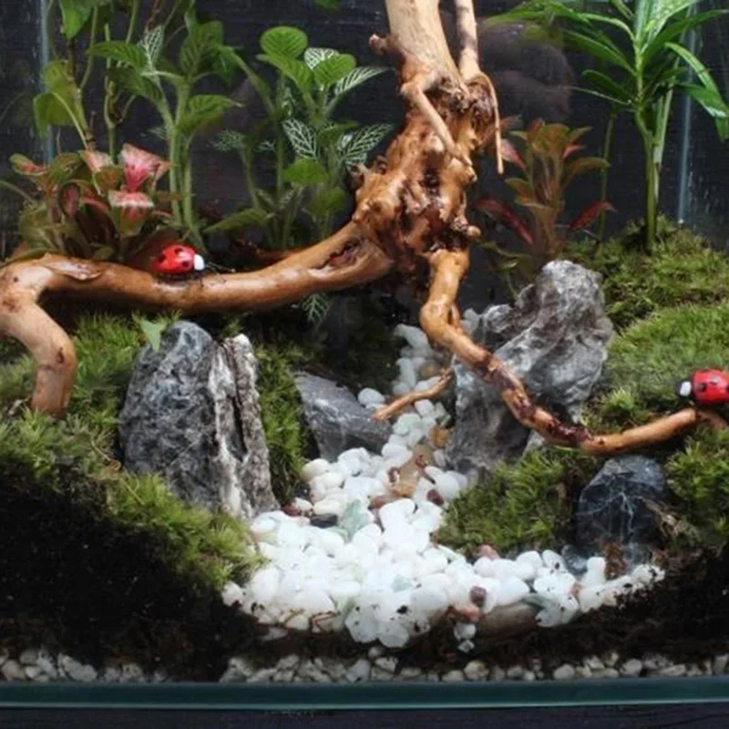 Natuurlijke Boomstam Drijfhout - Aquarium Marine Rock recensie en prijs