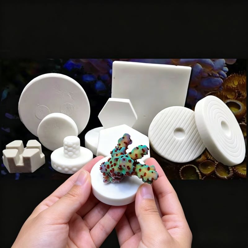 SPS Keramische Koraal Frag Plu - Aquarium Marine Rock recensie en prijs