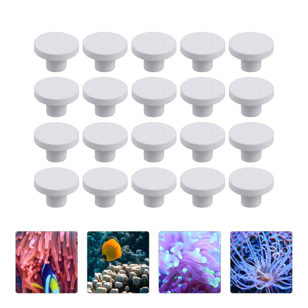 SPS Keramische Koraal Frag Plu - Aquarium Marine Rock recensie en prijs