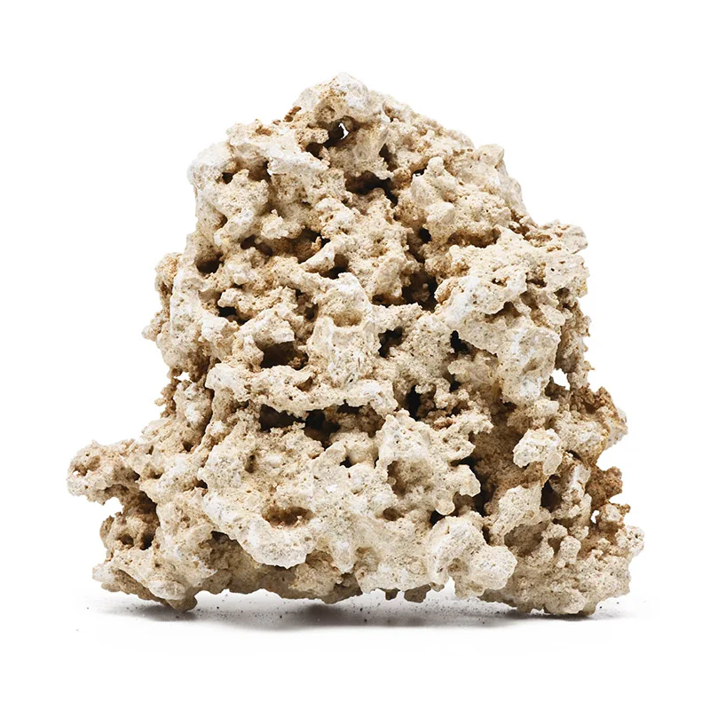 Vastecean Indonesia Java Droge - Aquarium Marine Rock recensie en prijs