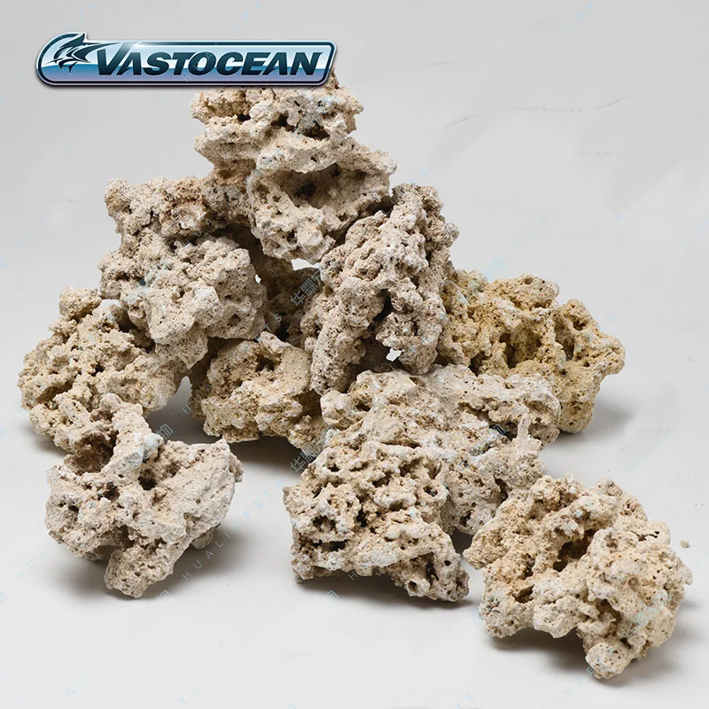 Vastecean Indonesia Java Droge - Aquarium Marine Rock recensie en prijs